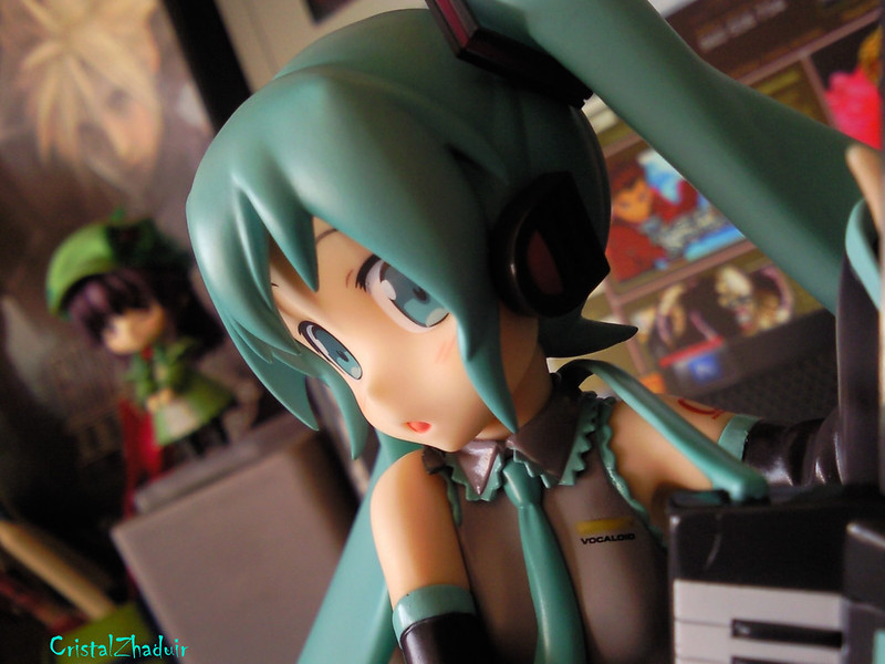 [Review] Hatsune Miku HSP ver. (Max Factory) 7274430750_1f641ff9ee_c