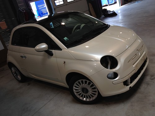 Fiat500croco 3 (1)