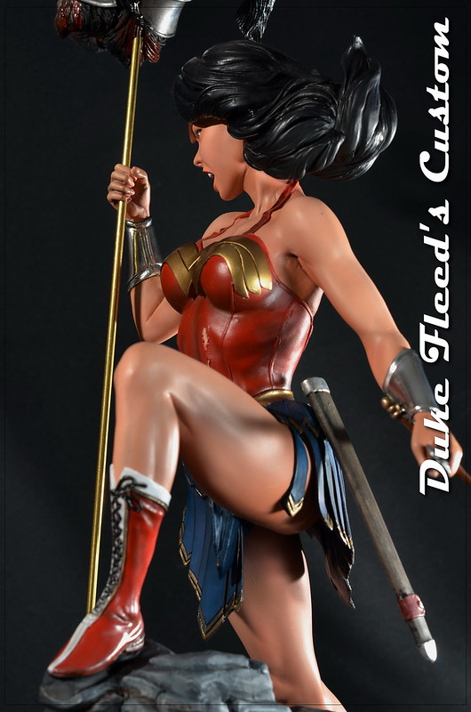 Diana Warrior Princess 1/6 7675915110_0495f9238b_c