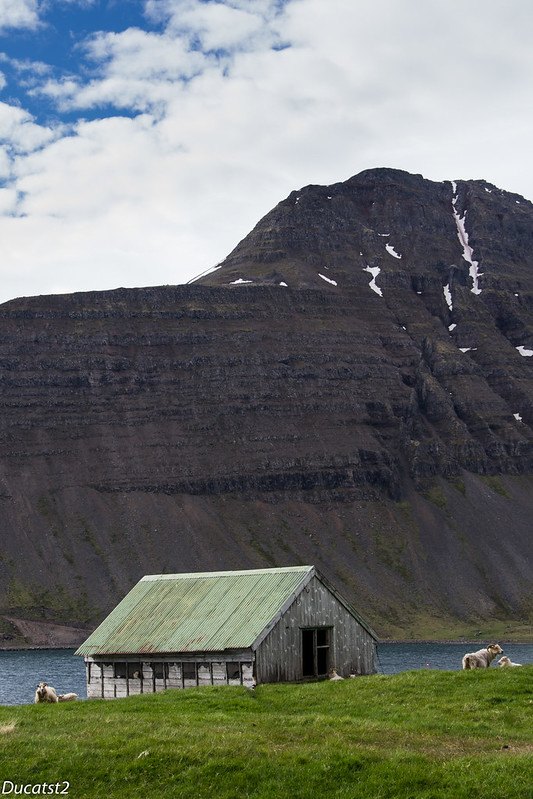 [Islande] Les Fjords du Nord-Ouest 2 ......la suite! 7598089782_676d2aa7cd_c