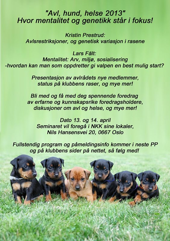 Informasjon om NPK seminaret "Avl, hund, helse 2013" 8282218878_52158de408_b