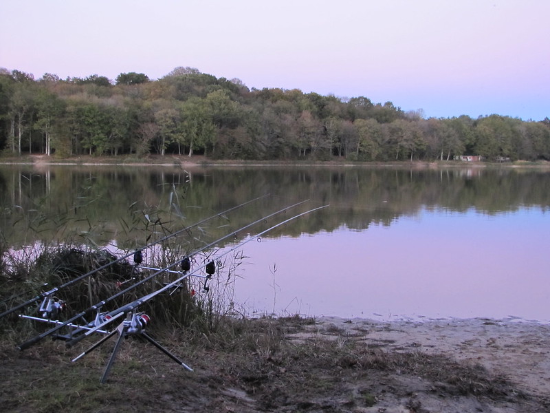 Session peche novembre 2012 etang de moutiers Yonne