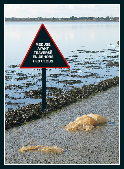 La pêche aux palourdes (bédé photo-roman) 8208348163_3e4cac1e39_z