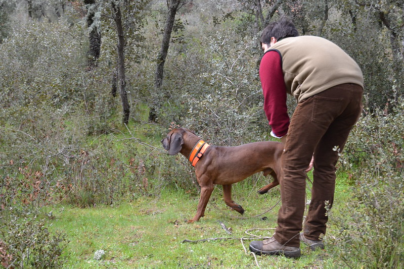 Reunin o rastros por Madrid - Pgina 3 8588810585_8f24159df9_c