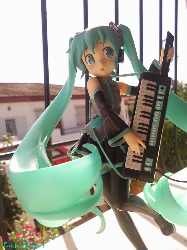 [Review] Hatsune Miku HSP ver. (Max Factory) 7274375808_7c0d581dc6_c