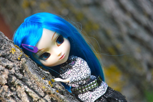 Pullip Chelsea 8032518181_21d3f2bc36