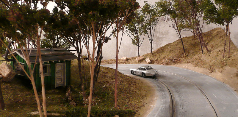 Che pista! Autocostruita, digitale, con super diorama!!! 8011631978_ba4c95f59f_c