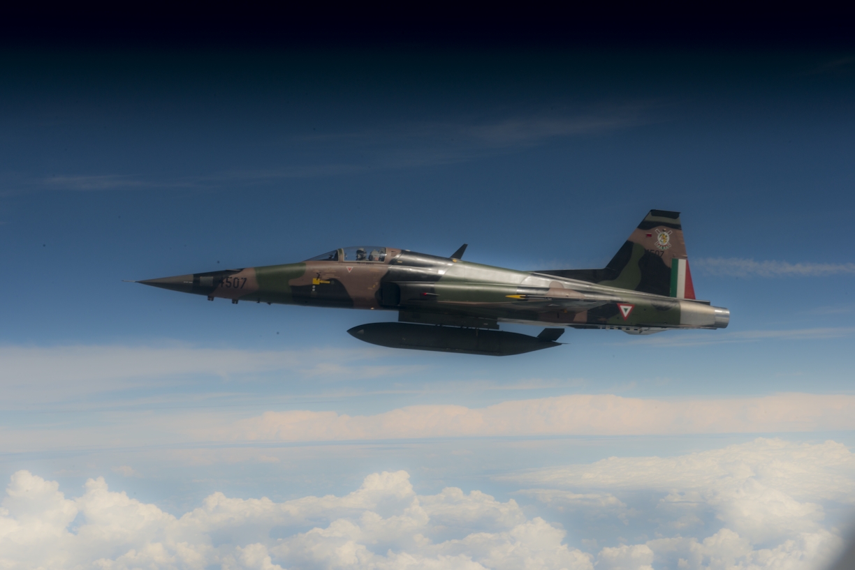 Northrop F-5E/F; El primer caza supersónico mexicano - Página 17 8020225980_46a7a0b7a5_o