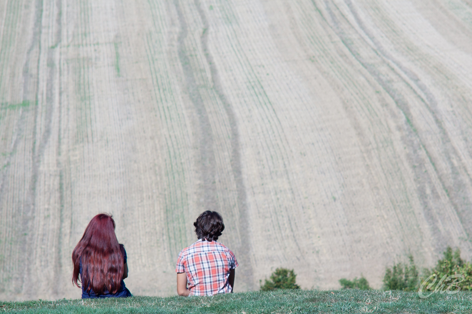 Dans un parc de château avec mon Pentacon 135mm f2.8  7997502562_bfc55ac8b4_h