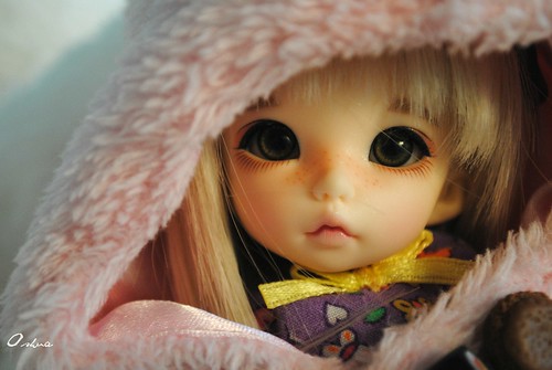 [Echange] Vos plus beaux portraits de Pullips - Page 36 8348847689_478e304e39