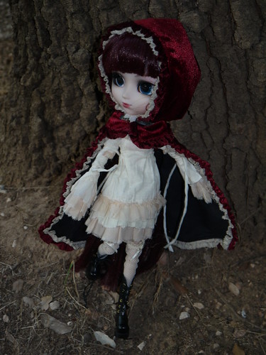 L'univers Pullip /Dal /Taeyang - Page 8 8220599233_b9ce937ac2