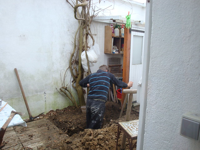 Dans mon Jardin d'Hiver 8430345170_b16d1f1d56_z