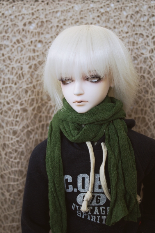 Lidt blandet [Leekeworld Lion, Elfdoll Vivien, Crobidoll Lance & Two.S.Doll Mayi] 8540796392_6a0767cfcf_o