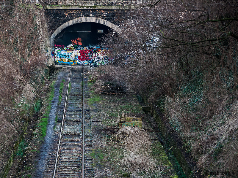 Friche urbaine [E-P2 + 40-150mm] 8490728179_17c82472bc_c