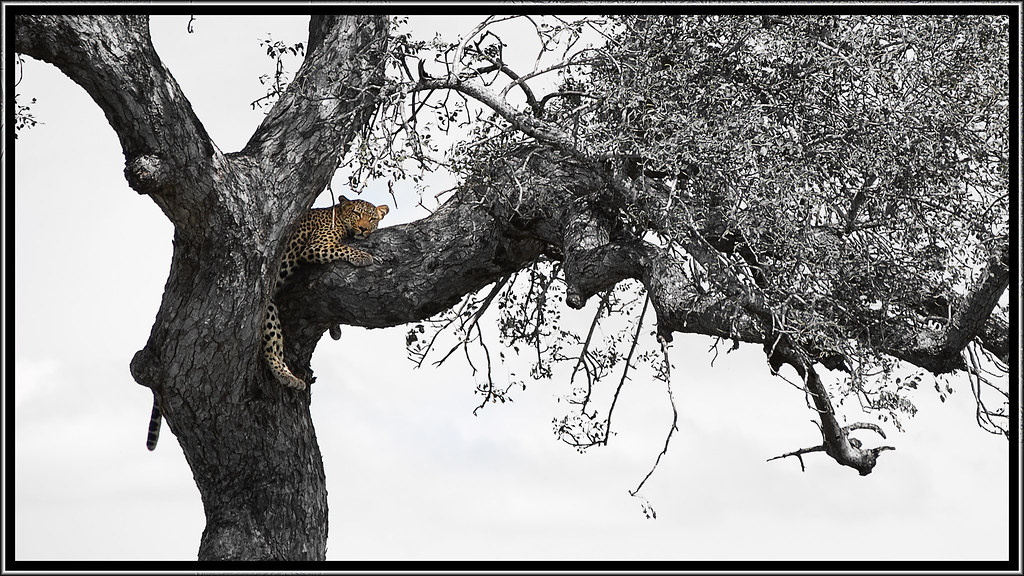 Retour de RSA: Paysages et grosses bestioles 8662721807_fe0ba60cb1_b