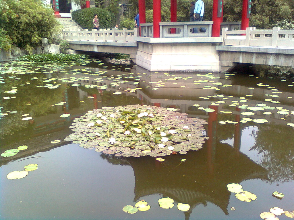 [濟南][原創]皇上！您還記得大明湖畔的夏雨荷嗎！】濟南記之大明湖 8707105520_05701a5e98_b