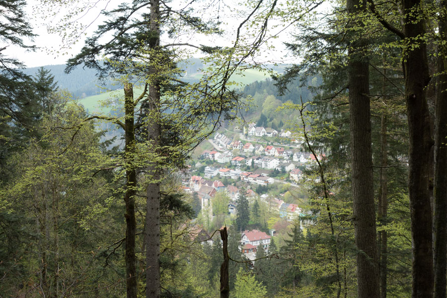 La balade de l'Arbre de mai (bis): Forêt noire et Neckar [2013] •Bƒ  - Page 3 8749824263_e6fef5c61b_o