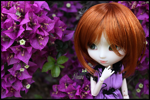 Osaka (Pullip Xiao Fan) 8962745772_92047bc729