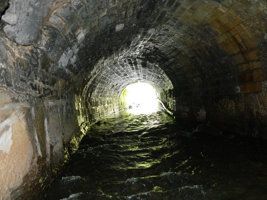 Culvert at Tanfield July 2012 7577038894_e5cc928bea_b