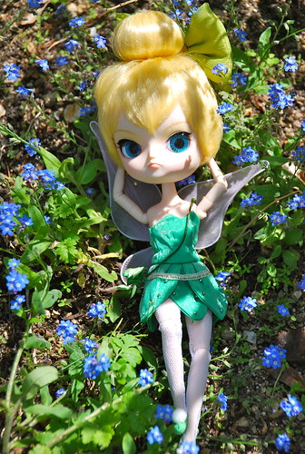 Dal Tinkerbell 7871917126_430659c320