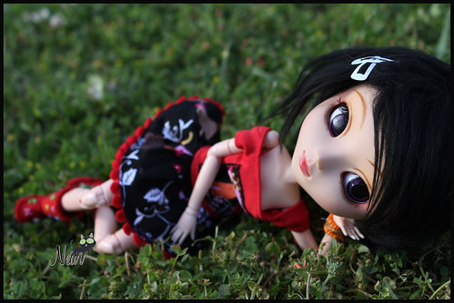 Noa (Pullip Papin) - Página 2 8839368692_3e5a164d43