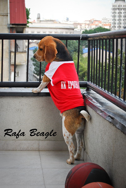 RAFA iz Beograda - Page 35 7661341454_96fab1cbe5_z