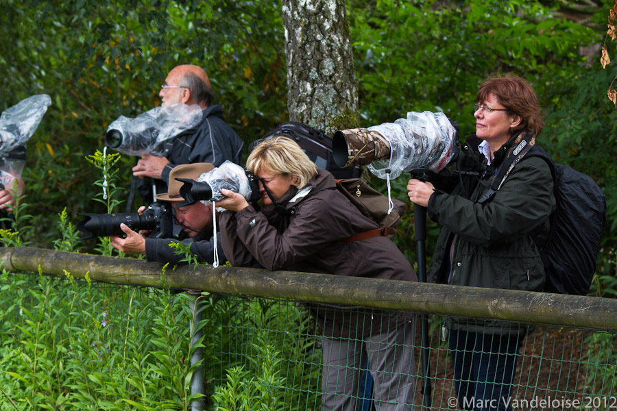 Sortie au Zoo d'Olmen (à côté de Hasselt) le samedi 14 juillet : Les photos d'ambiance 7573047338_de4ba03ef0_o