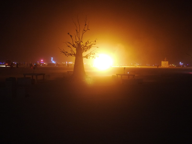 Burning Man 2012 - Expérience ultime 7980716692_ebf300c10f_c