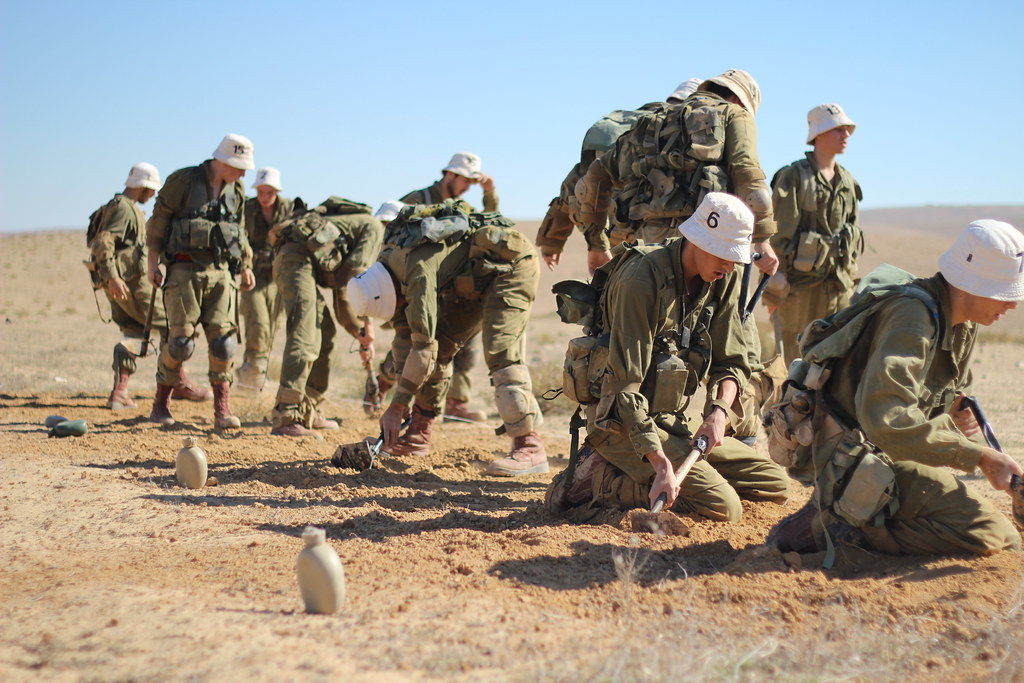  Fuerzas de Defensa de Israel ( צְבָא הַהֲגָנָה לְיִשְׂרָאֵל‎, Tsva Hahagana LeYisrael) - Página 3 8229640686_28a91ce1f7_b