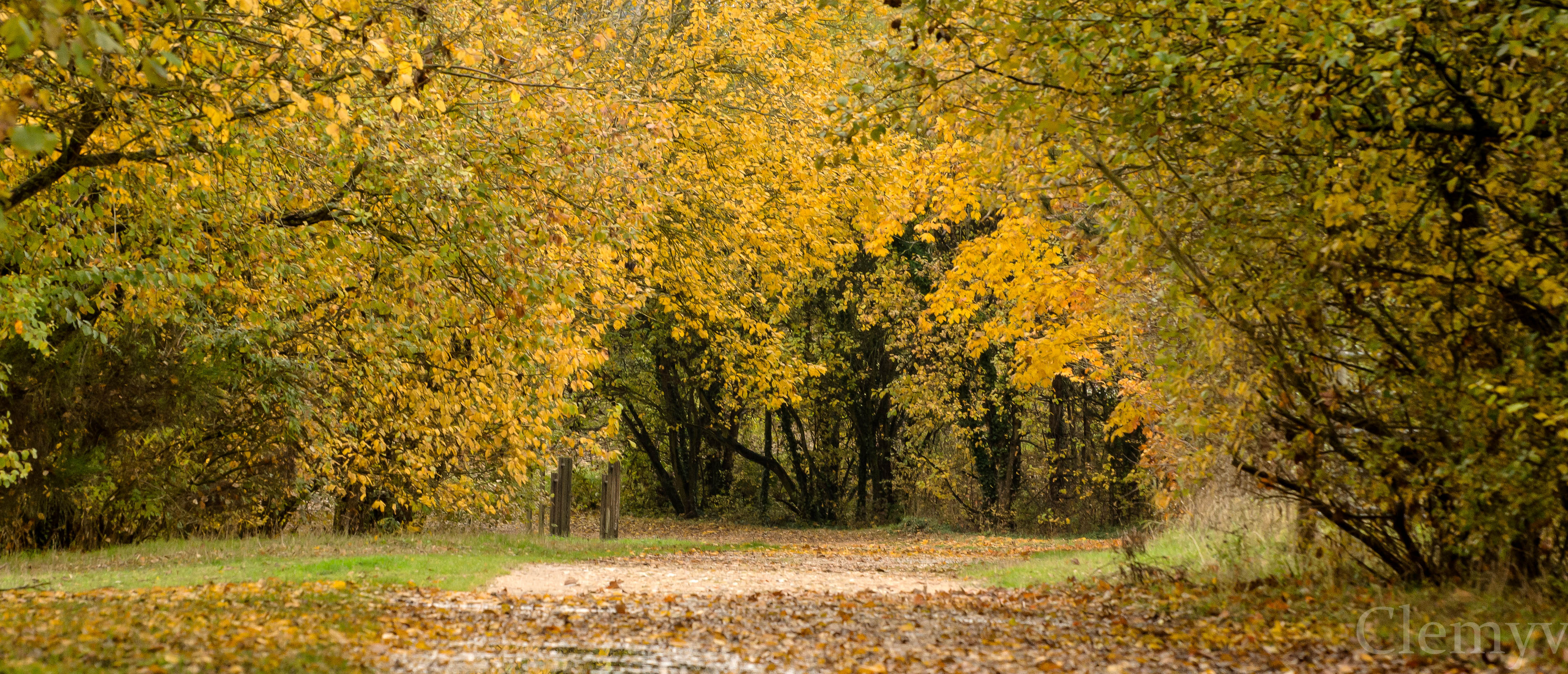 J'en suis encore à l'automne 8245844212_d4c45fd0aa_o