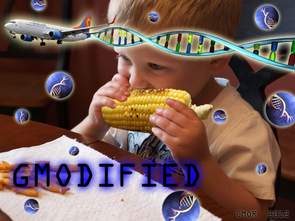 Chemtrails and Horizontal Gene Transfer – The GMO Connection Craig-Morrison