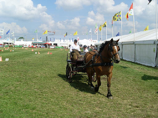 Provence / Belgique : 31 Août 2008 SL370243