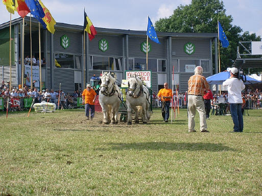 Provence / Belgique : 31 Août 2008 SL370247