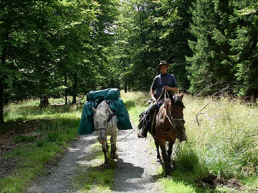 Provence / Belgique : 31 Août 2008 SL370280