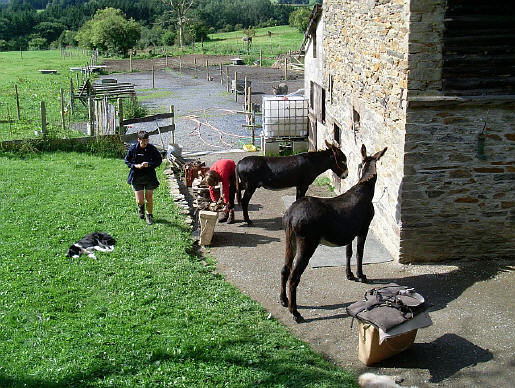 Provence / Belgique : 31 Août 2008 SL370310