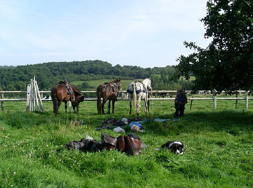 Provence / Belgique : 31 Août 2008 SL370338