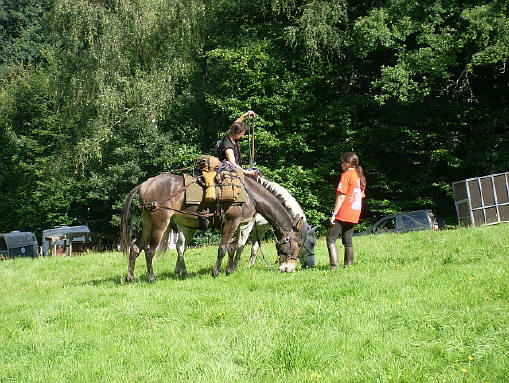 Provence / Belgique : 31 Août 2008 SL370339