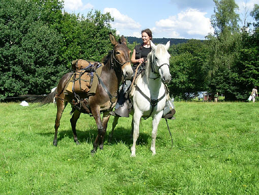 Provence / Belgique : 31 Août 2008 SL370345