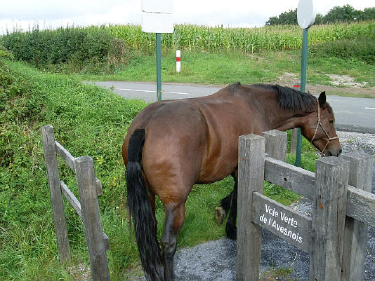 Provence / Belgique : 31 Août 2008 SL370384