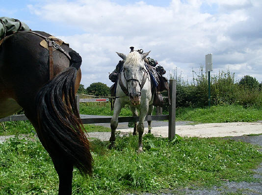 Provence / Belgique : 31 Août 2008 SL370386