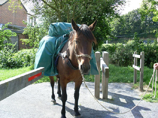 Provence / Belgique : 31 Août 2008 SL370387