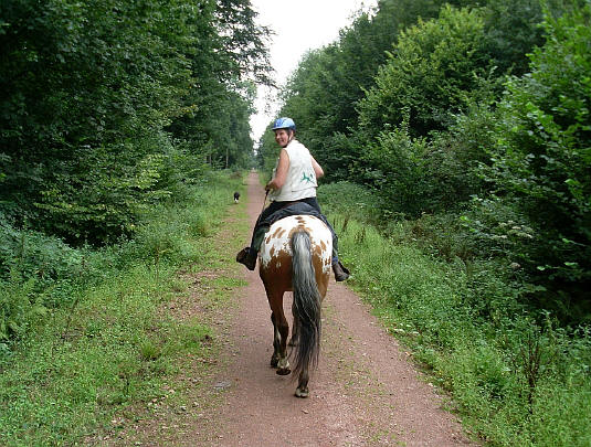 Provence / Belgique : 31 Août 2008 SL370402