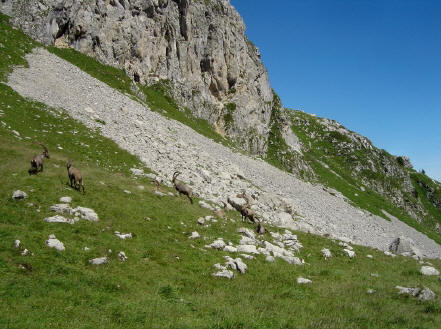 BS4: A la découverte de la Haute Savoie (La Hiaute 1) 063_63