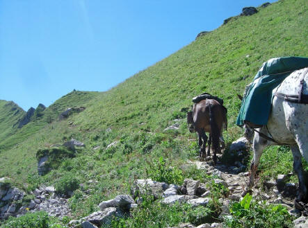 BS4: A la découverte de la Haute Savoie (La Hiaute 1) 069_69