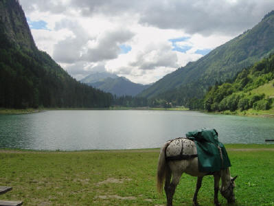 BS5: Chère Haute Savoie (La Hiaute 2) 017_17