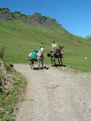 BS5: Chère Haute Savoie (La Hiaute 2) 024_24