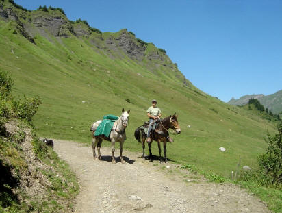 BS5: Chère Haute Savoie (La Hiaute 2) 025_25