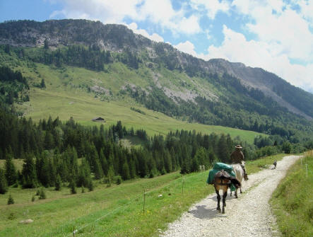 BS5: Chère Haute Savoie (La Hiaute 2) 064_64