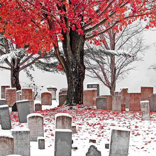 Talvine - punane puu            Cemetery-graves-gravestones-graveyard-nature-photography-Favim.com-52501