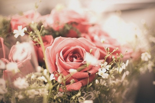 يَ رب .. لآ اُريدُ مِن الاماني سُوي حُلم 33> Flowers-photography-pink-roses-vintage-Favim.com-127778